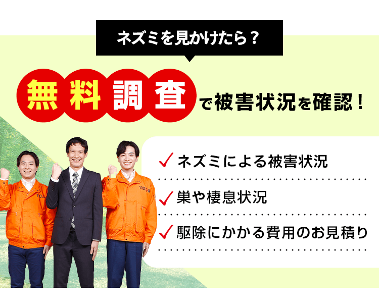 ネズミを見かけたら無料調査で被害状況を確認!
