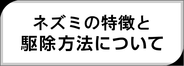 ネズミの特徴と駆除方法について