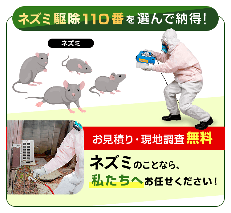 ネズミ駆除110番を選んで納得!