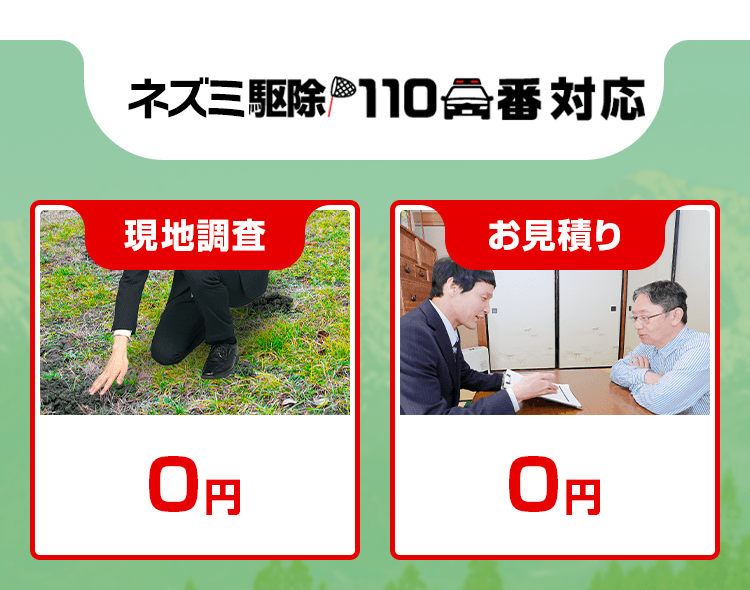 ネズミ駆除110番対応