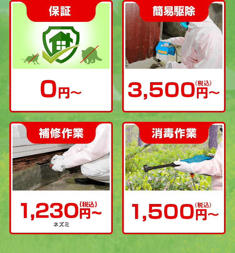 現地調査、お見積り、保証、簡易駆除、補修作業、消毒作業