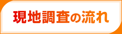 現地調査の流れ